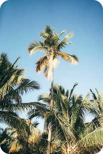 elias-vidal-LMkV4EHH0W8-unsplash 1